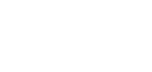 flex-logo